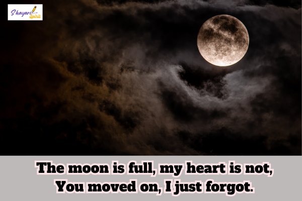 Moon shayari in english for instagram